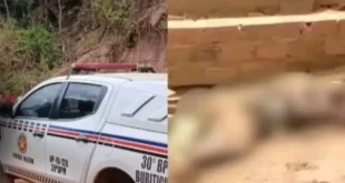 Violência no Brasil: tio é morto com picareta após assassinar bebê de 11 meses a facadas