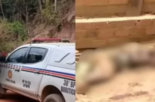 Violência no Brasil: tio é morto com picareta após assassinar bebê de 11 meses a facadas