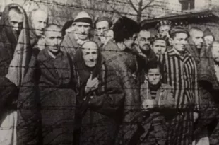 O Holocausto não começou nas câmaras de gás, começou com palavras