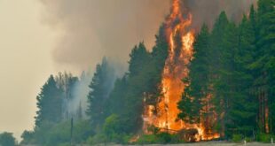 Incêndio na Patagônia: israelenses são flagrados com fogo no local