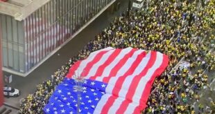 A síndrome do vira-lata: o patriotismo que despreza o próprio povo