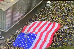 A síndrome do vira-lata: o patriotismo que despreza o próprio povo