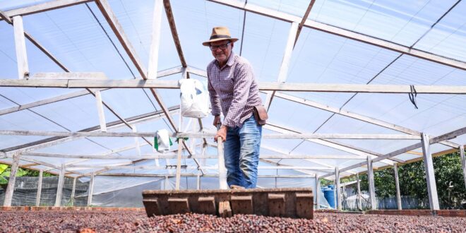 Governo do Acre sanciona lei que cria programa de compras para fortalecer indústria do café