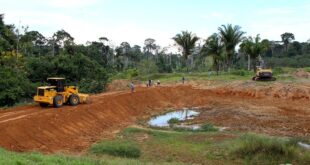 ‘É nossa prioridade investir e fazer a diferença na vida do produtor rural’, afirma Mailza Assis na Transacreana