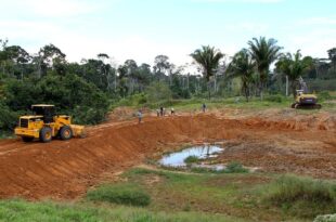 ‘É nossa prioridade investir e fazer a diferença na vida do produtor rural’, afirma Mailza Assis na Transacreana