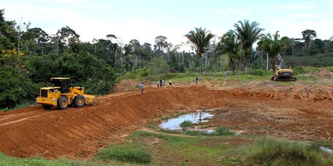 ‘É nossa prioridade investir e fazer a diferença na vida do produtor rural’, afirma Mailza Assis na Transacreana