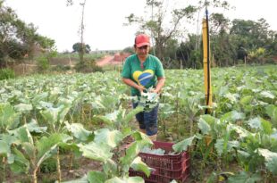 Com investimento majoritário do Estado, Acre segue garantindo alimentação escolar de qualidade para estudantes da rede estadual