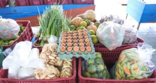 Governo divulga entidades socioassistenciais aptas ao Programa de Aquisição de Alimentos