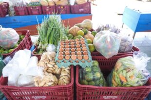 Governo divulga entidades socioassistenciais aptas ao Programa de Aquisição de Alimentos