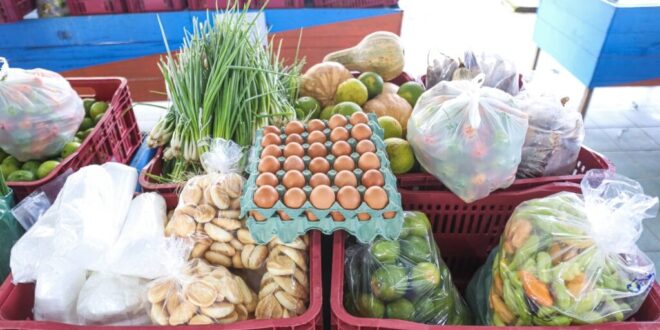 Governo divulga entidades socioassistenciais aptas ao Programa de Aquisição de Alimentos