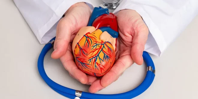 Bem Viver: três bebidas que prejudicam a saúde das artérias, alerta cardiologista