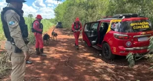 Violência no Brasil: menina de 8 anos sequestrada é encontrada morta no PR