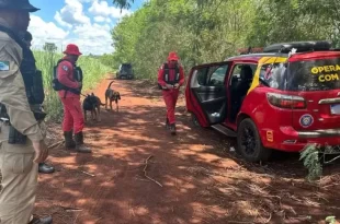 Violência no Brasil: menina de 8 anos sequestrada é encontrada morta no PR