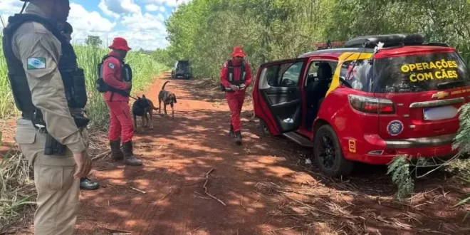 Violência no Brasil: menina de 8 anos sequestrada é encontrada morta no PR