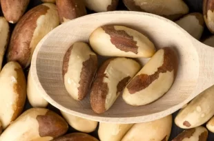 Boa notícia para o Acre: Brasil abre mercado para castanha-do-Brasil na Turquia