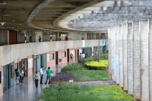 “Patrulha ideológica” à educação pública é a nova forma de ataque da extrema direita, afirma pesquisador