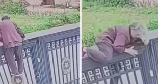 Velhinha danada: idosa de 92 anos escala portão para fugir de casa de repouso