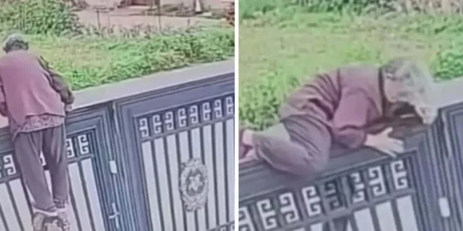 Velhinha danada: idosa de 92 anos escala portão para fugir de casa de repouso