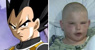 Menino imita personagem de ‘Dragon ball’ para sobreviver a ataque de abelhas