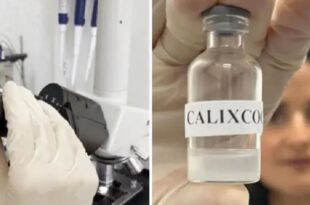 Universidade Federal: Brasil recebe aval para iniciar testes em humanos de vacina contra crack e cocaína