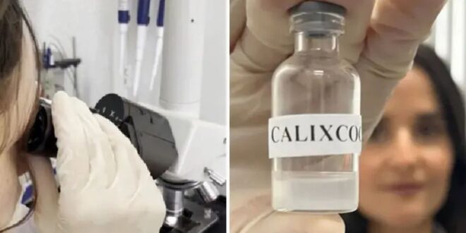 Universidade Federal: Brasil recebe aval para iniciar testes em humanos de vacina contra crack e cocaína