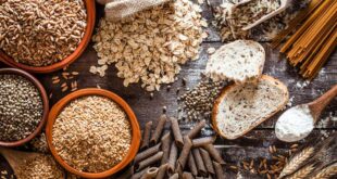 Bem Viver: saiba qual é o nutriente essencial para fortalecer a microbiota intestinal
