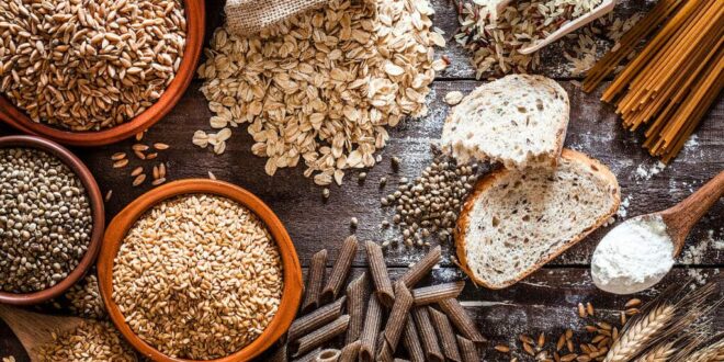 Bem Viver: saiba qual é o nutriente essencial para fortalecer a microbiota intestinal