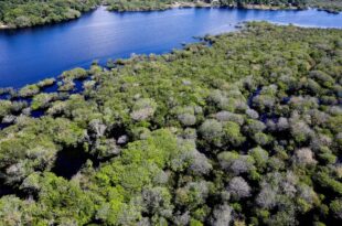 Governo federal lança edital para combate ao desmatamento na Amazônia