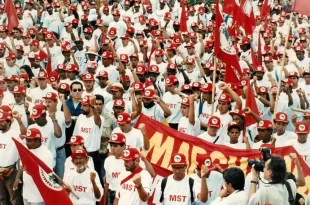 Raí, Chico Pinheiro e ministra de Lula desfilam em escola que homenageia o MST