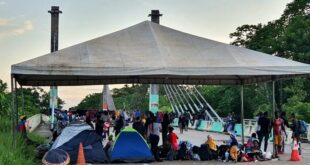 MPF recorre de sentença para garantir proteção a migrantes em situação de vulnerabilidade no Acre