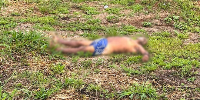 Violência no Acre: homem é encontrado morto às margens da BR-317
