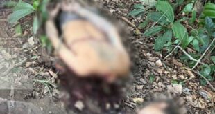 Violência no Acre: ordem de execução de indígena encontrado decapitado em Envira teria sido dada por facção do Acre