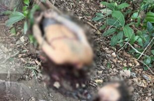 Violência no Acre: ordem de execução de indígena encontrado decapitado em Envira teria sido dada por facção do Acre