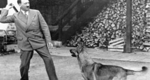 Bolsonaro, Hitler e as cenas de amor por cachorros para humanizar monstros