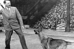 Bolsonaro, Hitler e as cenas de amor por cachorros para humanizar monstros