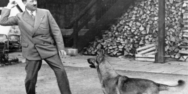 Bolsonaro, Hitler e as cenas de amor por cachorros para humanizar monstros