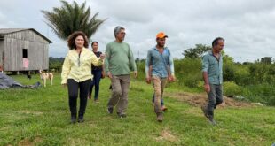 Produtores de Porto Acre ganham autonomia com implantação de mini-indústria de café
