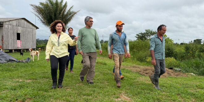 Produtores de Porto Acre ganham autonomia com implantação de mini-indústria de café