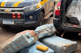 Droga no balde: mais de 230 kg de skunk são apreendidos na BR-364