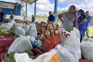 Mulheres se destacam entre produtores contemplados pelo Programa de Aquisição de Alimentos no Acre