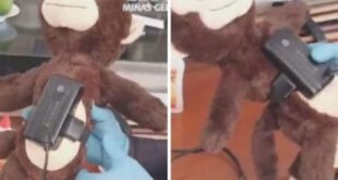 Espertalhão coloca a tornozeleira em bichinho de pelúcia, foge, mas acaba preso dois anos depois