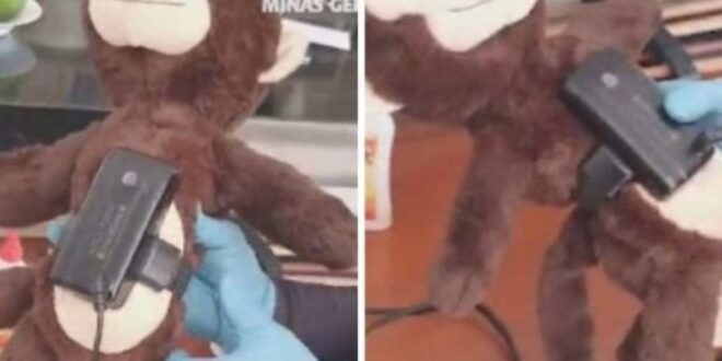 Espertalhão coloca a tornozeleira em bichinho de pelúcia, foge, mas acaba preso dois anos depois