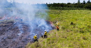 Acre institui Serviço Ambiental Voluntário de Brigadista Florestal para combater incêndios