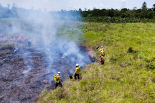 Acre institui Serviço Ambiental Voluntário de Brigadista Florestal para combater incêndios