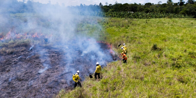 Acre institui Serviço Ambiental Voluntário de Brigadista Florestal para combater incêndios