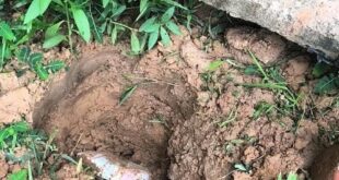 Drogas em Rio Branco: investigação de homicídio leva PCAC a suspeito e apreensão de menor com entorpecente