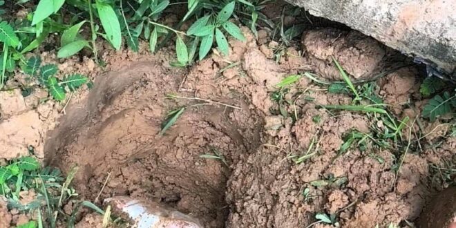 Drogas em Rio Branco: investigação de homicídio leva PCAC a suspeito e apreensão de menor com entorpecente