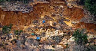 EUA é investigado por intensificar exploração da Amazônia
