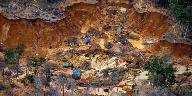 EUA é investigado por intensificar exploração da Amazônia