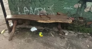 Violência no DF: em plena luz do dia executam homem a tiros e arrastam corpo até córrego
